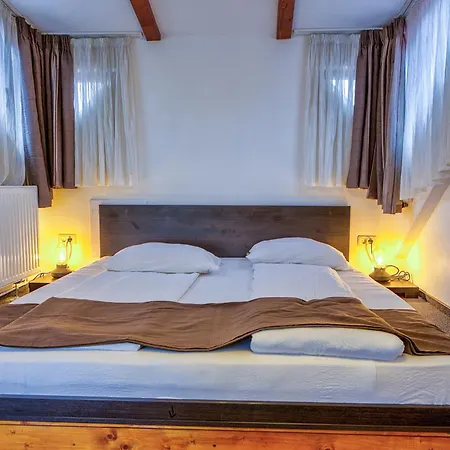 Πανσιόν Ambient