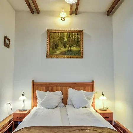 Ambient 3* Μπρασόβ