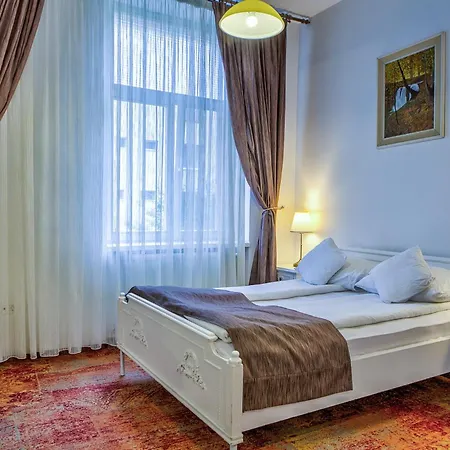 Ambient Πανσιόν Μπρασόβ