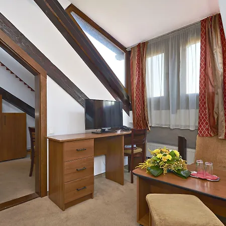 Πανσιόν Ambient