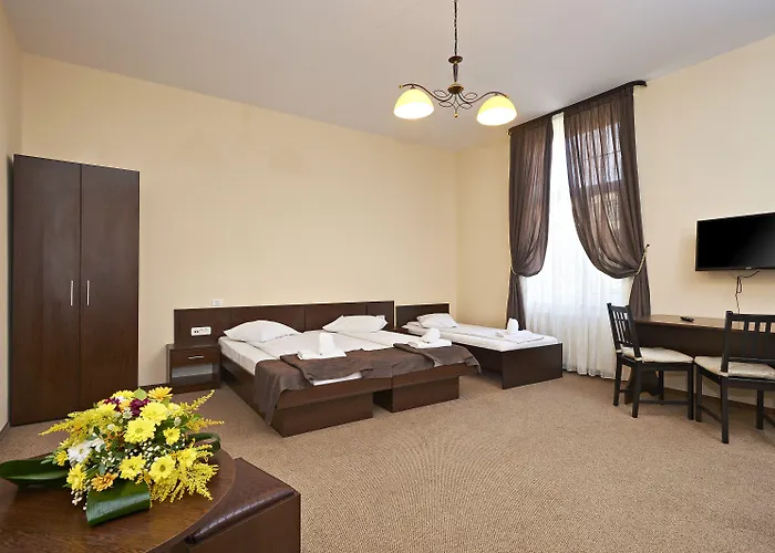 Ambient Guest house Brasov