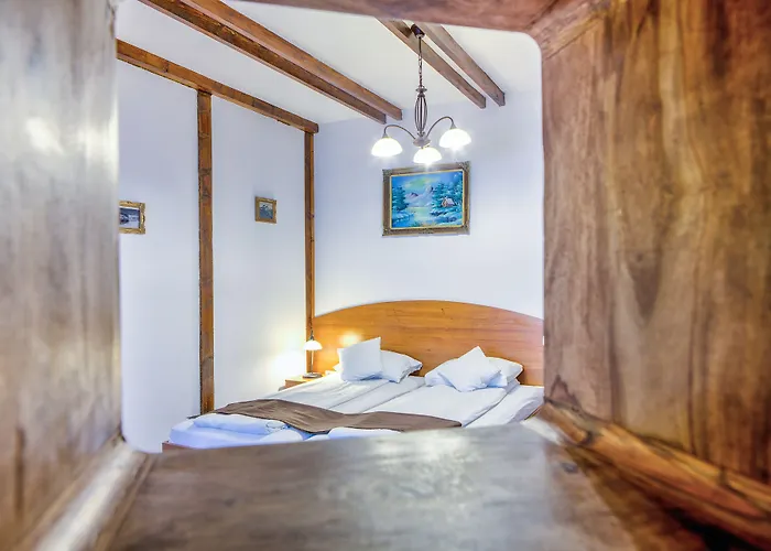 Ambient Guest house Brasov